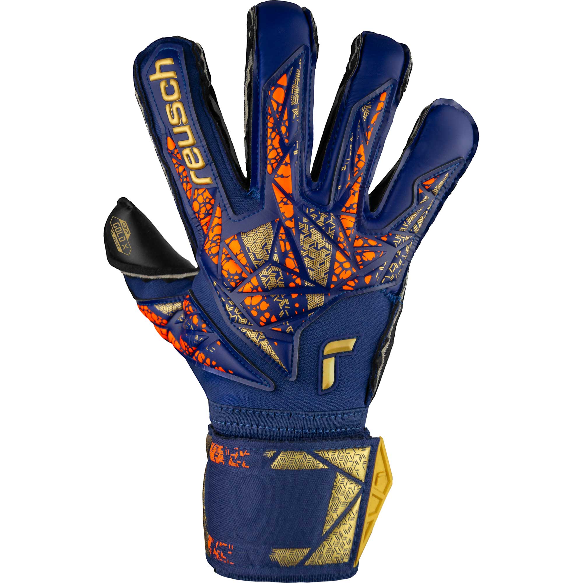 Attrakt Gold X Evolution - Image 3