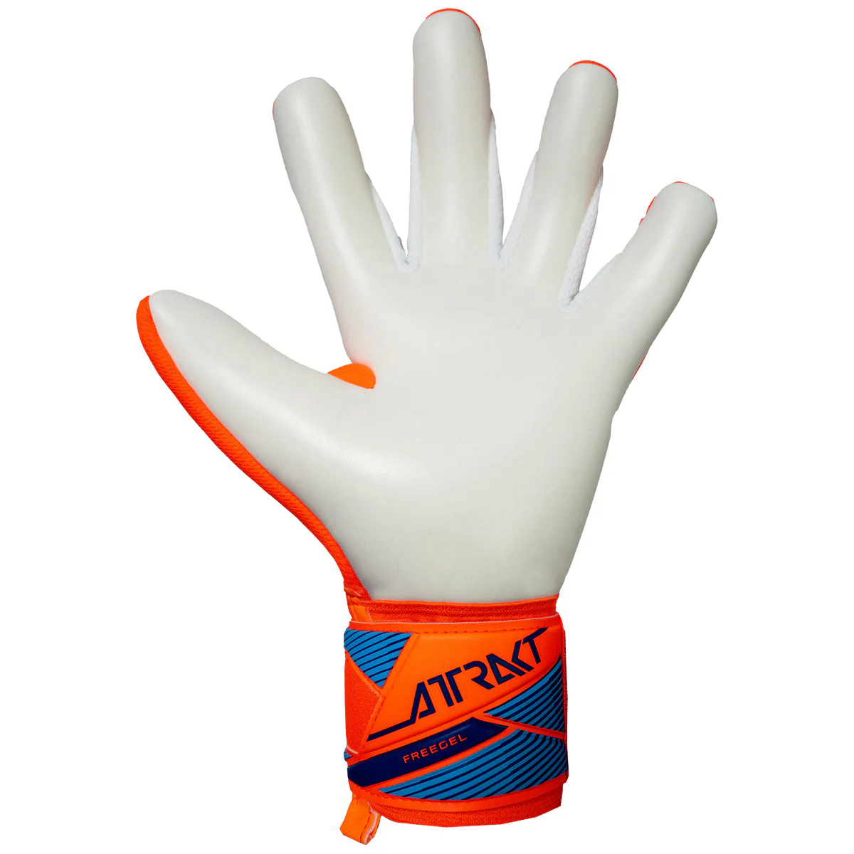 Guanti da portiere Attrakt Freegel Advance - Image 3