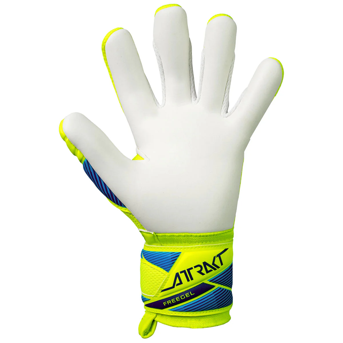 Guanti da portiere Attrakt Freegel Advance Junior - Image 4