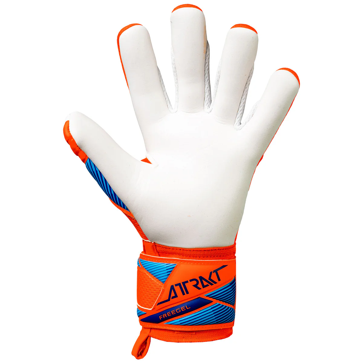Guanti da portiere Attrakt Freegel Advance Junior - Image 3