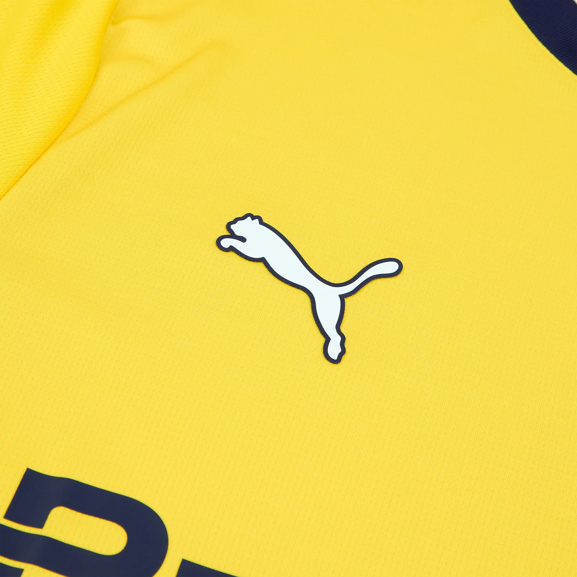 Parma 3a Maglia 24/25 Adulto - Image 4